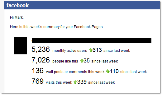 Facebook Page Activity Report Sample